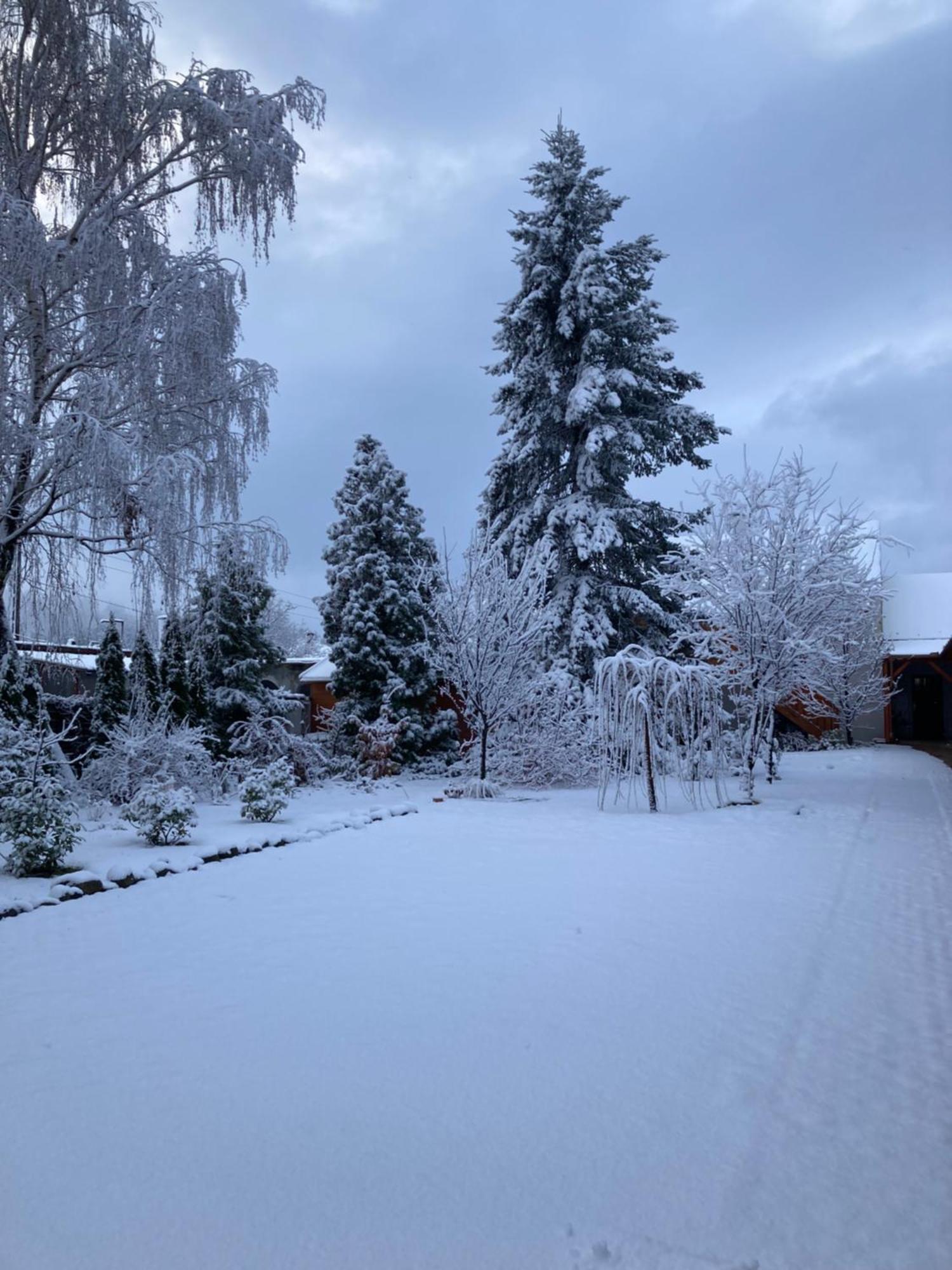 Cicaskacus Vendeghaz Bed & Breakfast Matrafured Eksteriør bilde